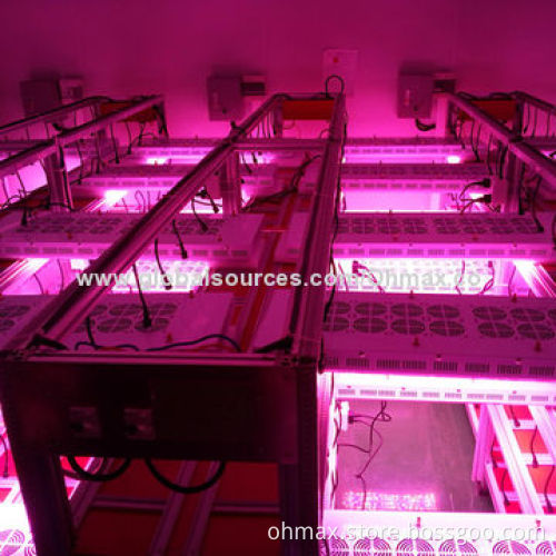 High-power 1200W LED grow lights, full color system, for medicinal plants, CE/FCC certified, RoHS